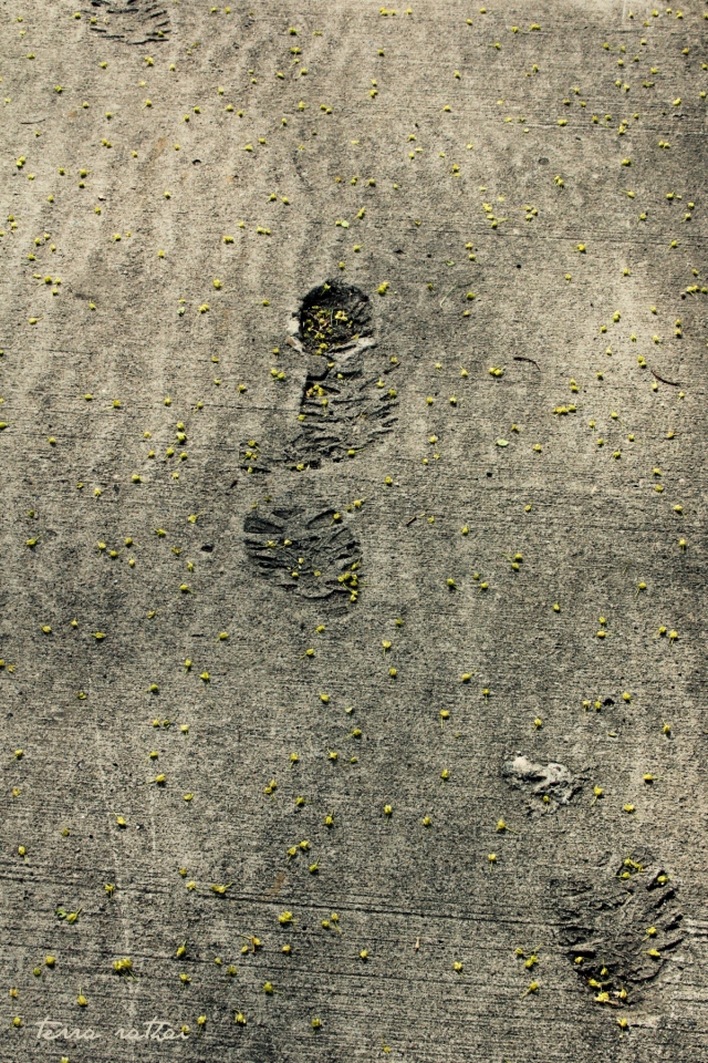 blog050115_footprints-in-sidwalk